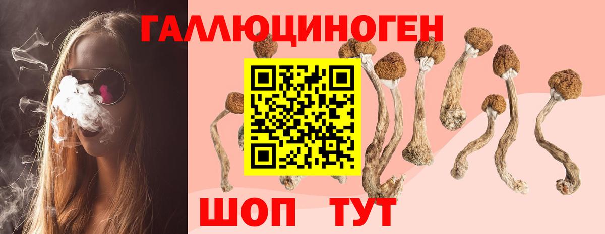 Галлюциногенные грибы Psilocybe Феодосия